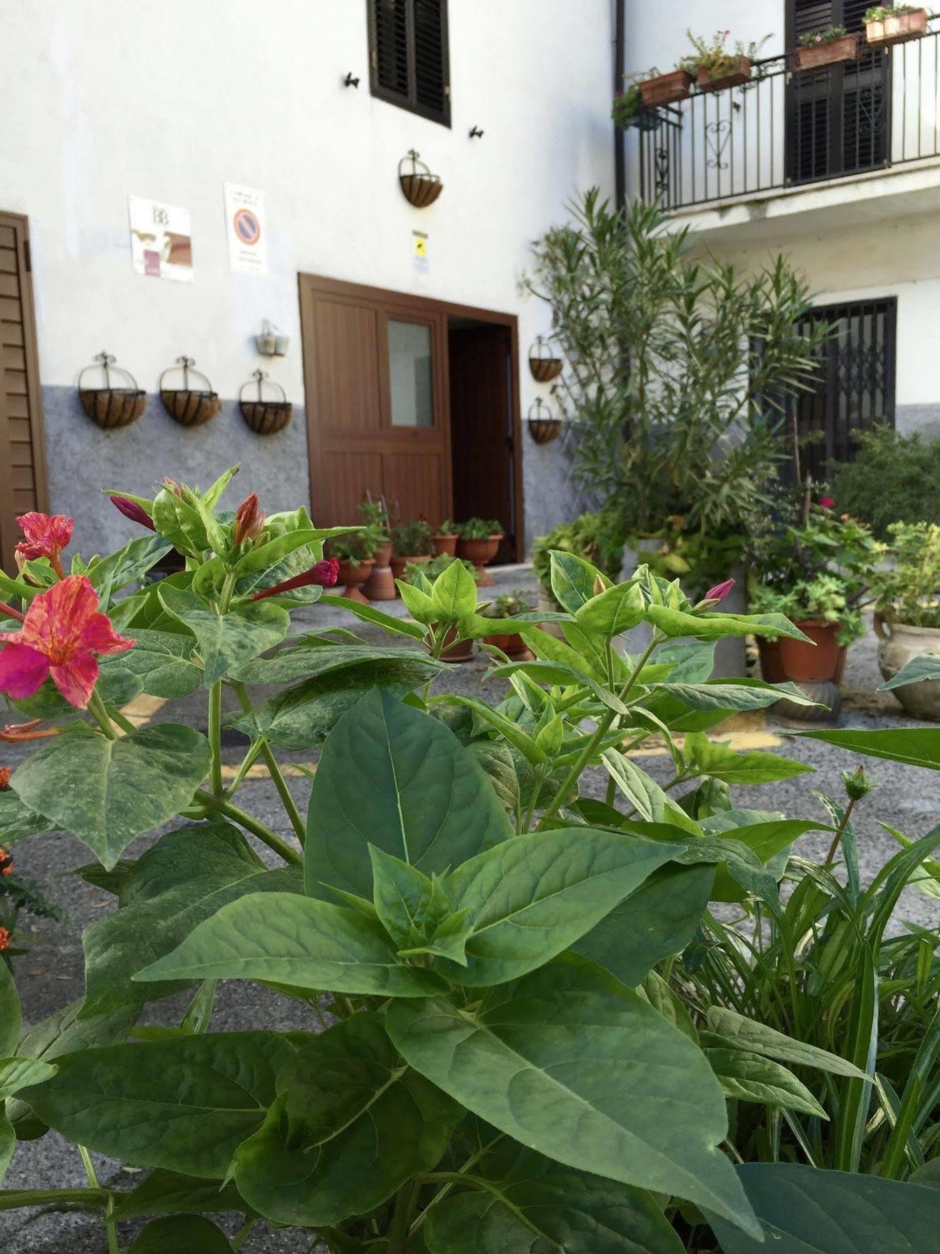 B&B Amores Sulmona Esterno foto